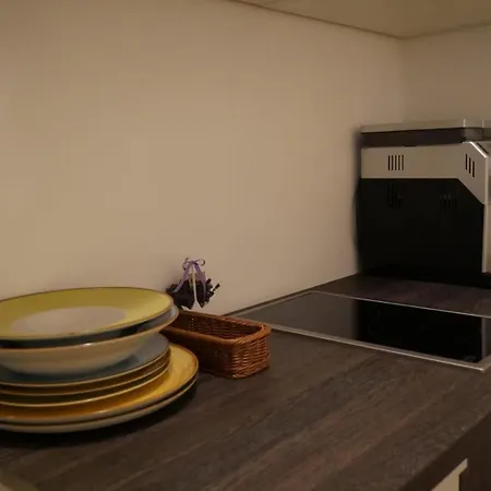 Jolie Place Old Town アパート ティミショアラ