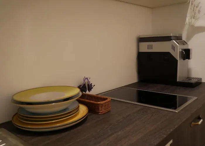 Jolie Place Old Town アパート ティミショアラ